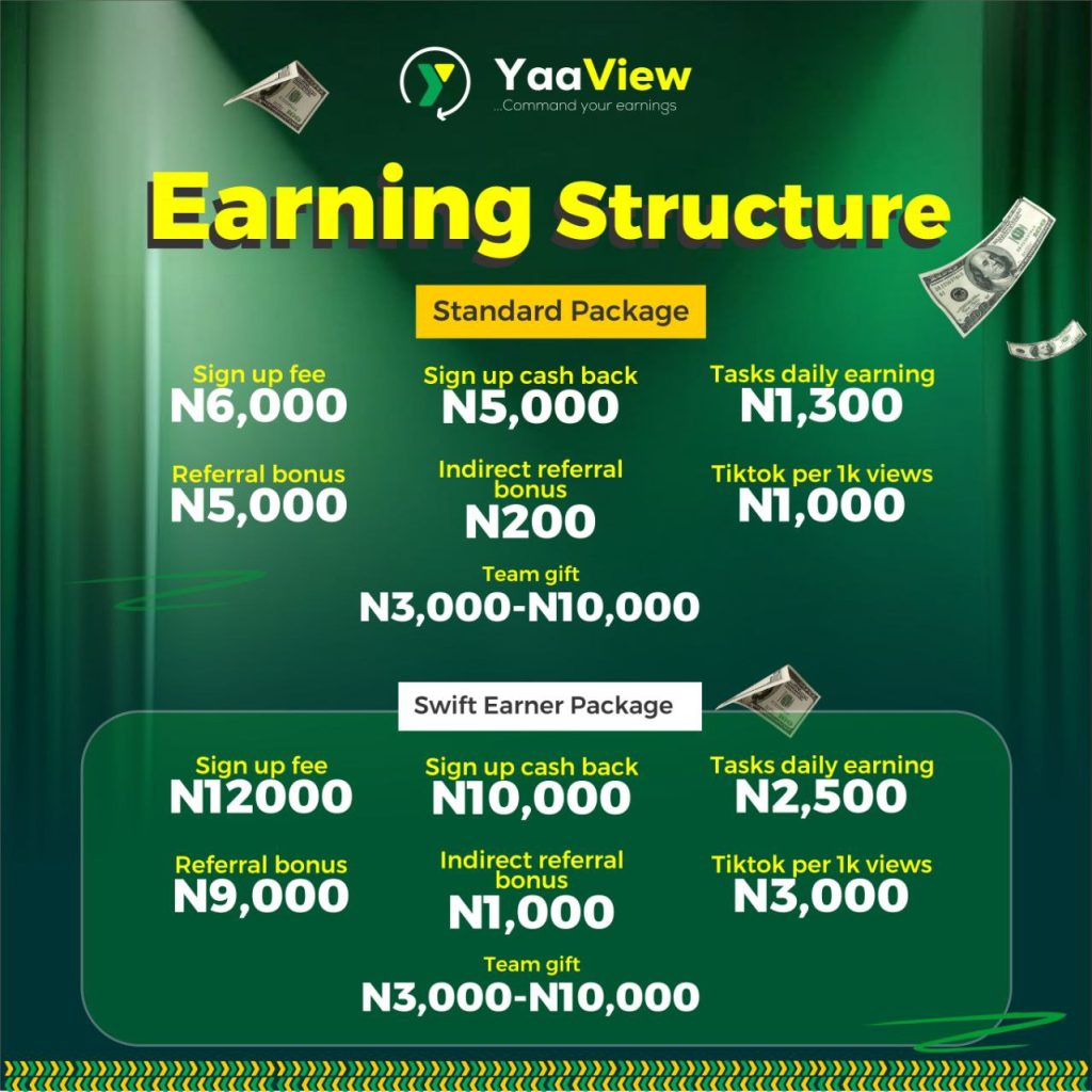 yaaview earning structure